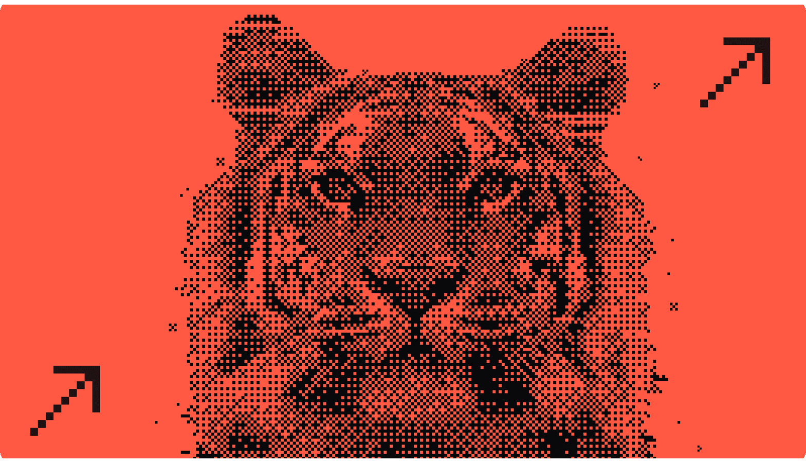 Year of the Tiger: $110 million to build the future of data for developers worldwide